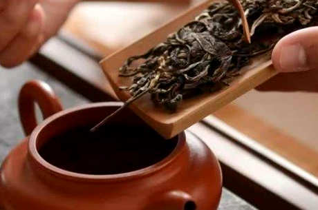 龙潭青古树茶的特点