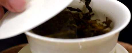 南糯山是生茶还是熟茶