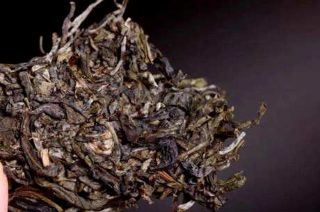 南糯山古树茶的特点