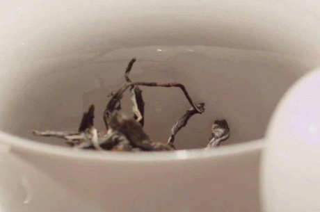 南糯山拔玛古树茶的特点