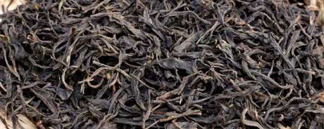 什么茶属于普洱茶？