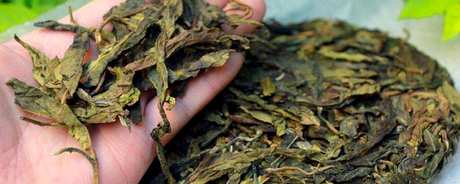 什么样的茶是普洱茶？