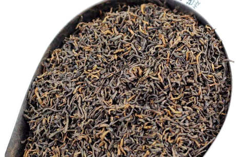 什么样的茶是普洱茶？