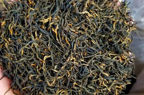 红茶属于哪些茶？