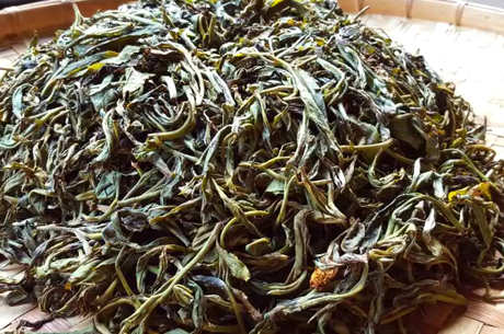 什么样的茶属于普洱茶？