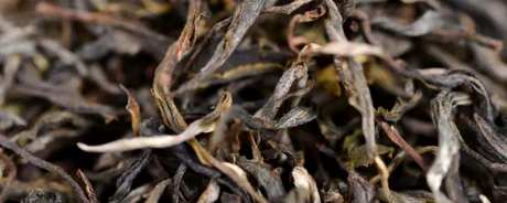 普洱茶生茶和熟茶的区别