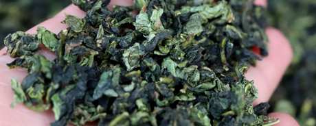 如何鉴别铁观音茶的品质？