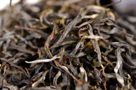 普洱茶生茶好还是熟茶好