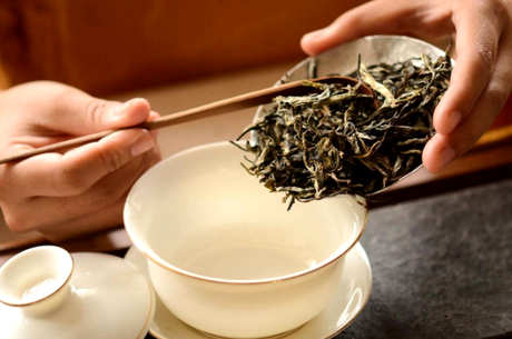 生普洱茶煮好还是泡好？