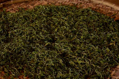 普洱茶年份好还是年份好？