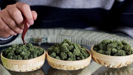 三七花茶的功效和作用