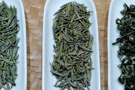 春茶秋茶最大的区别