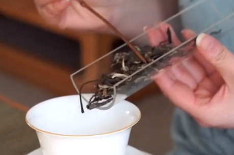 正确冲泡普洱生茶的方法