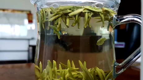 中国八大茶系