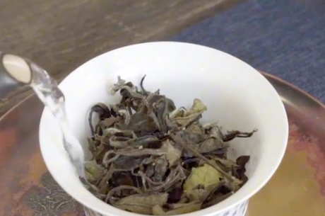中国八大茶系