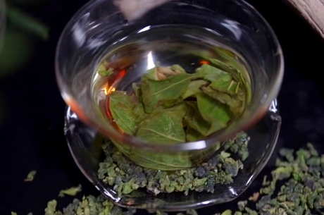 中国八大茶系