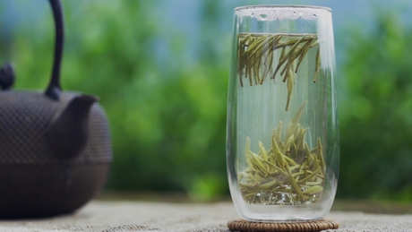 信阳毛尖是绿茶吗？