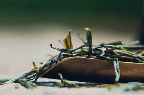 信阳毛尖是绿茶吗？