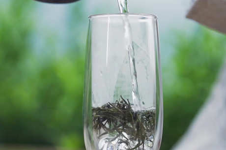 信阳毛尖是绿茶吗？