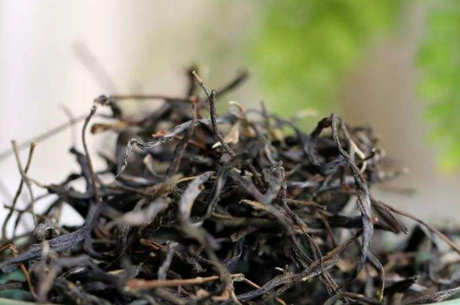 忙肺茶的特点和口感