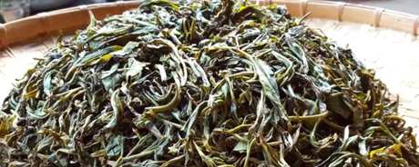 大忠山普洱茶的特点