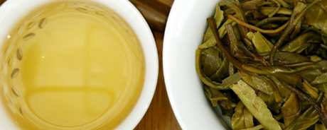 小户赛古树普洱茶