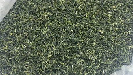 高山云雾茶属于什么茶？