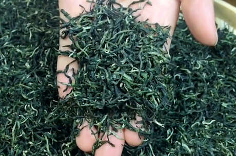 高山云雾茶属于什么茶？
