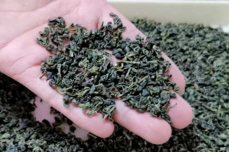 高山云雾茶属于什么茶？