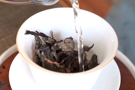 晚上喝什么茶好？