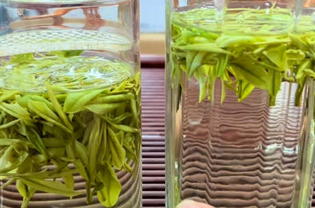 晚上喝什么茶好？