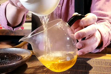 冰岛茶产地在哪里？