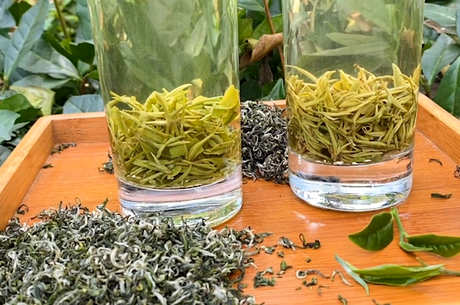 狗谷脑茶属于什么茶？