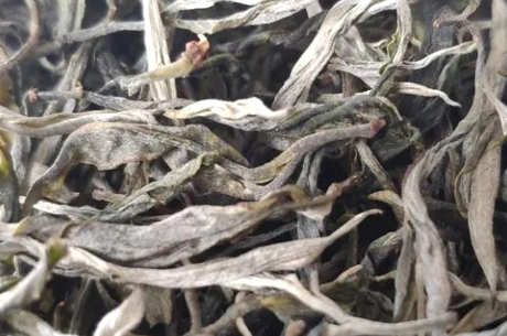 为什么喝普洱茶喉干？
