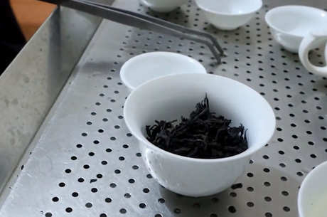 四季春茶属于什么茶？