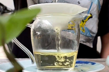 什么是乌龙茶？