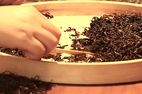 什么是乌龙茶？