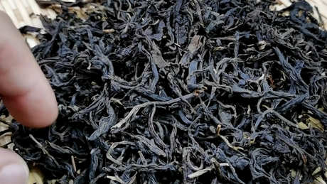 滇红茶属于什么茶？