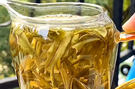 茶分为几类