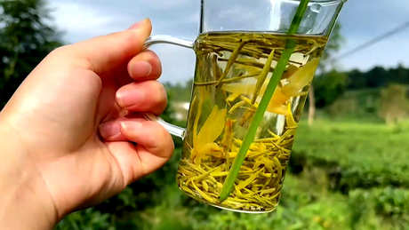 踏雪兰妃茶属于什么茶？