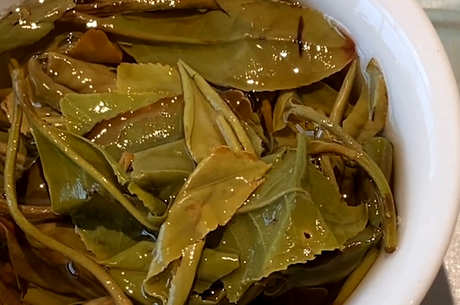 晚上泡的茶第二天能喝吗？