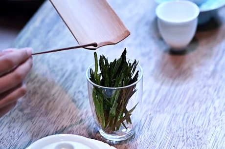 太平猴魁属于什么茶？