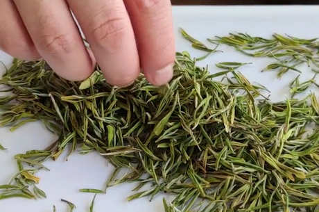 黄金芽属于什么茶？