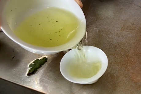 铁观音属于什么茶？