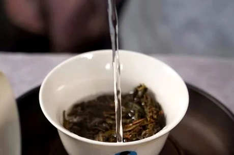 小户赛古树茶的口味特点