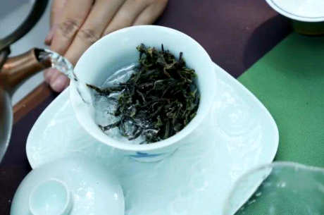 冰岛五寨茶的特点