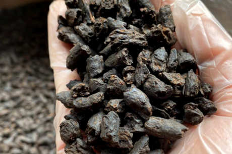 普洱茶中的碎银是什么品种？