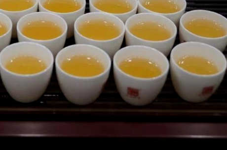 乔木茶和古树茶味道的区别