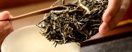 小户赛和冰岛茶的区别
