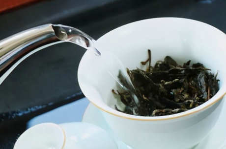 小户赛和冰岛茶的区别